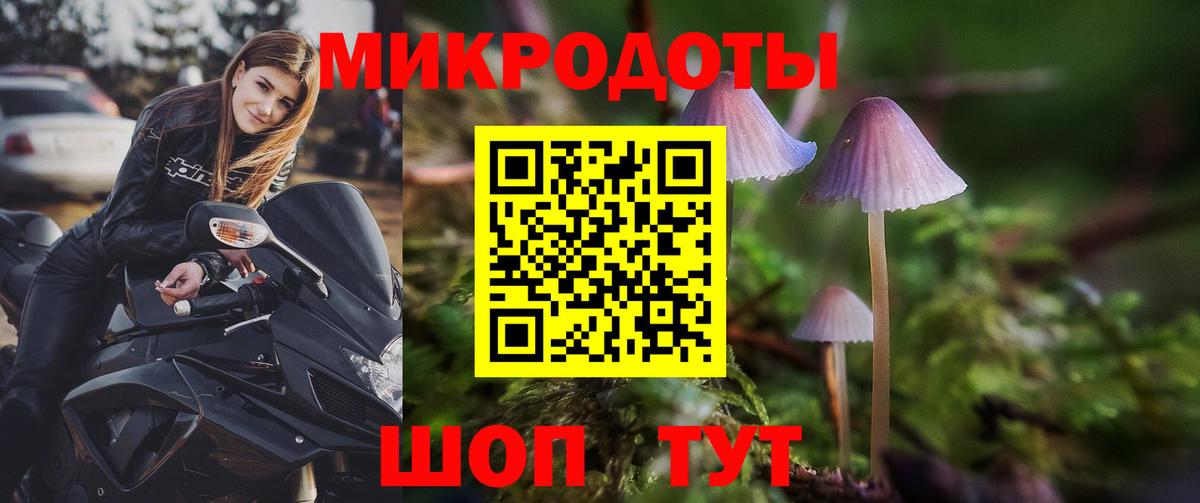 Галлюциногенные грибы Psilocybe  Вход с VPN  Черкесск 